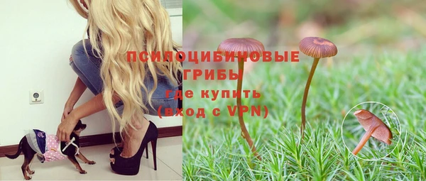 бошки Алзамай
