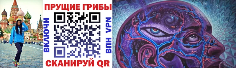 дарнет шоп  Боровичи  Галлюциногенные грибы Magic Shrooms 