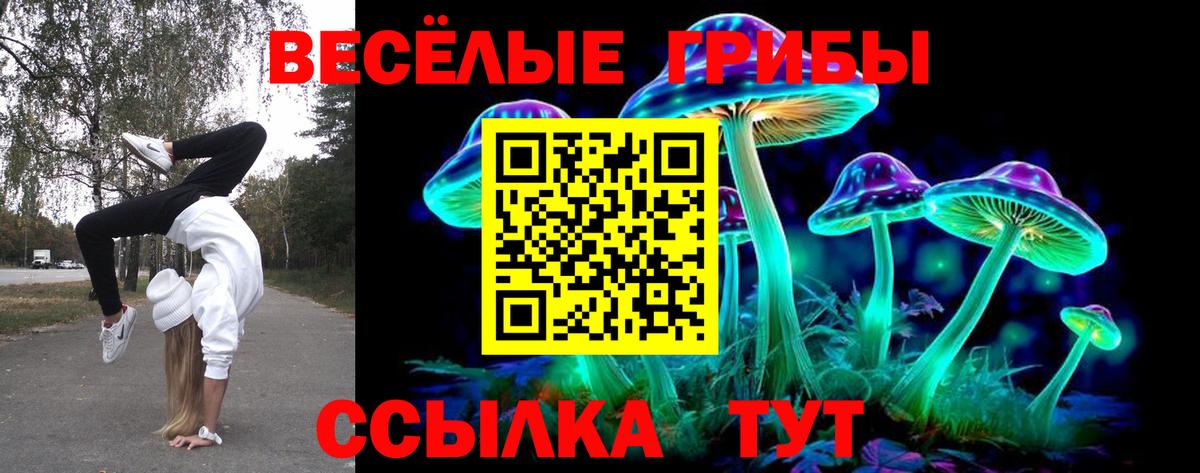 Галлюциногенные грибы Cubensis  Вход с VPN  Боровичи 